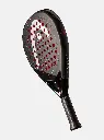 coello-motion-2025.webp