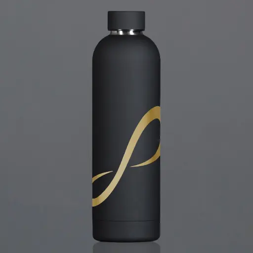 Gourde isotherme en acier inoxydable Endless